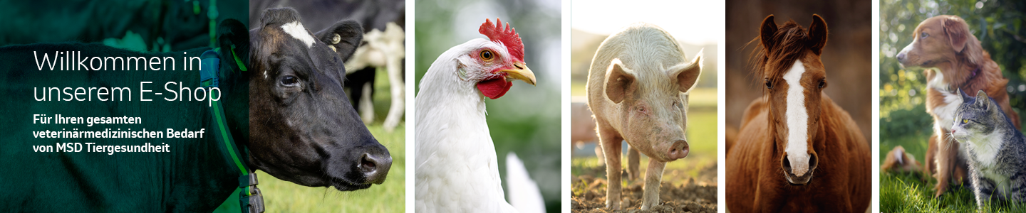 MSD Animal Health Logo